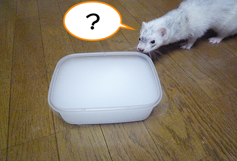 ？いったいなんでしょう