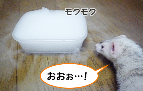 おお！何か出てきたー！