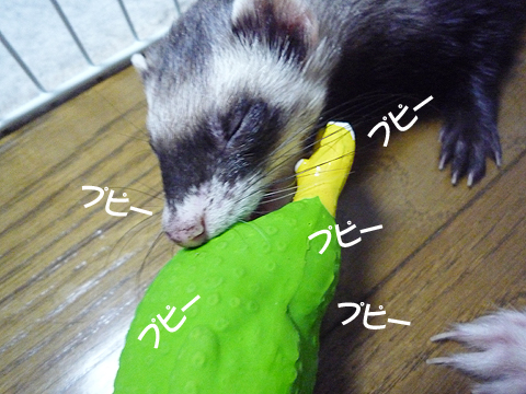 噛み噛み噛み噛み…