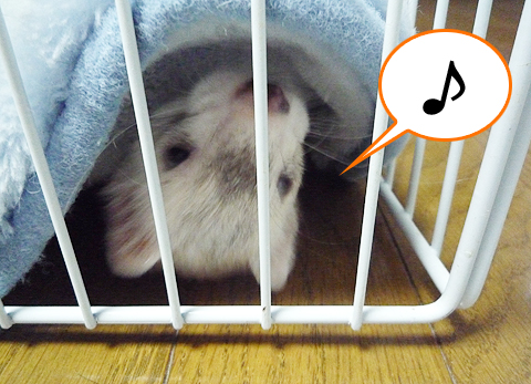 なんか楽しー。