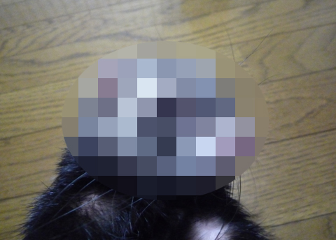 ※プライバシー保護のため映像と音声に処理をしています。