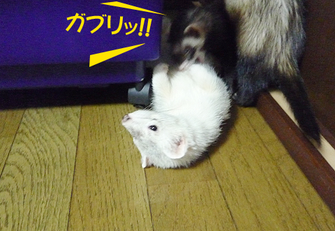 全然痛くないもんね。