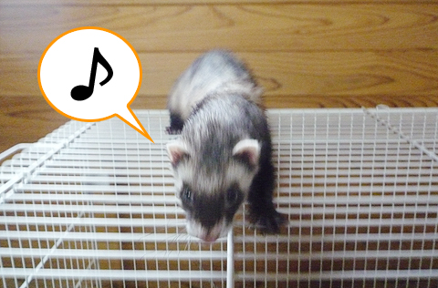 上がっちゃた♪