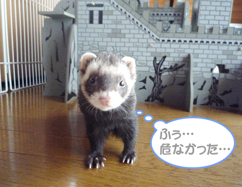 ふう…、危なかった。