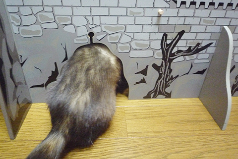 やばい、やばいヨ！