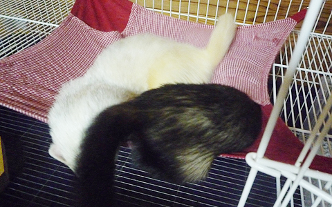 眠くなってきた?。