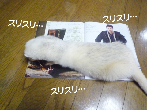 スリスリ…、スリスリ…