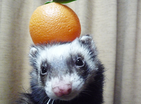 実はワタシなの。