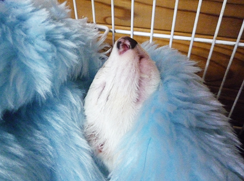 仰向けで寝ます。