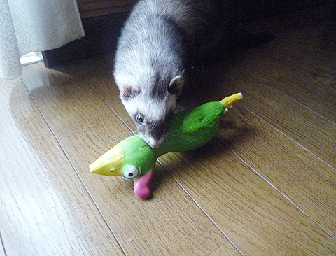 どこに隠そうか…