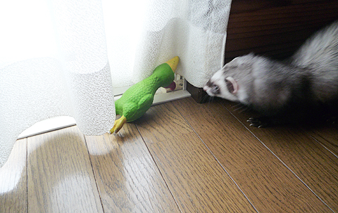 ああっ！こんなところに！