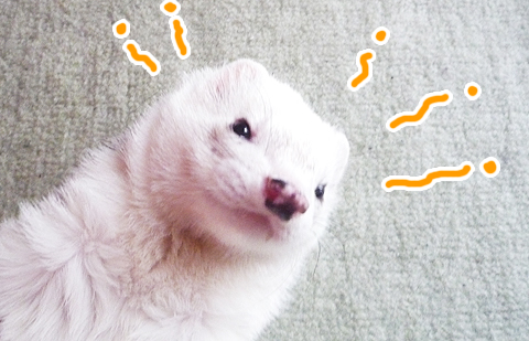 こりゃ、たまらん！