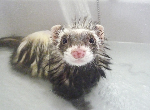 あ、ワタシ、ハルですよ。