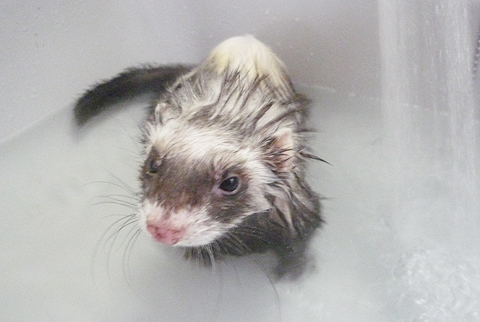 ビショビショ…