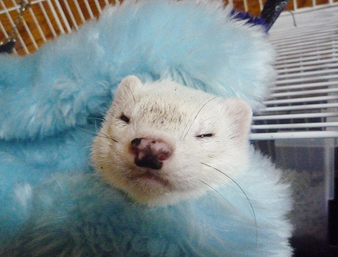 今日こそは言わせてもらう！