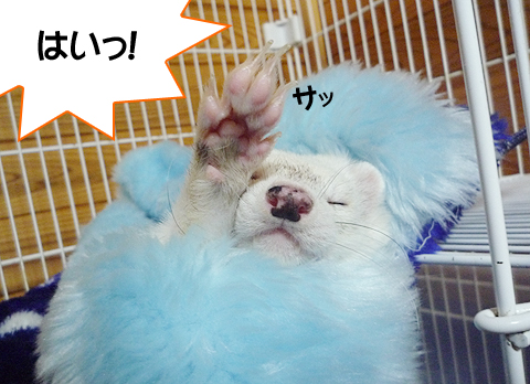 右手を挙げて、「はいっ」と大きな声で