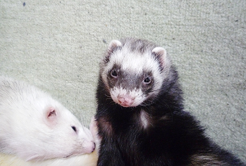横がどんなに騒がしくても…