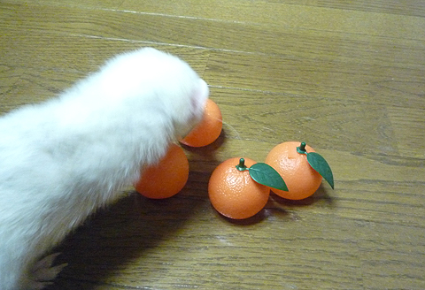 おっ、ミカンがいっぱい