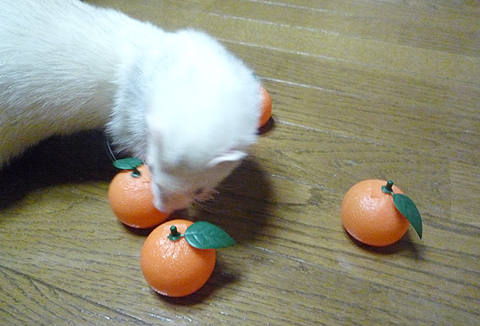 えーい、こうしてやる