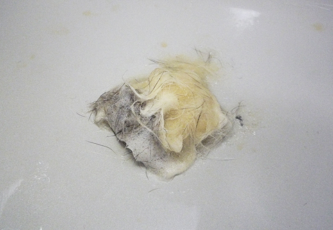 こんなに、こ?んなにぃ！