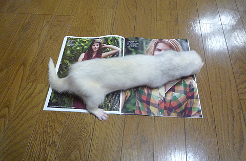 ねぇ?、いいだろ？