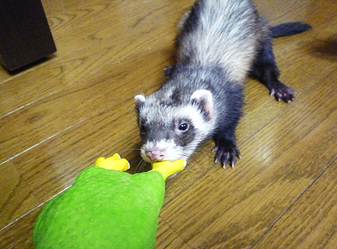 あ、どこに持って行くの！