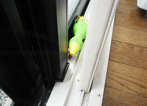 あんなところに！