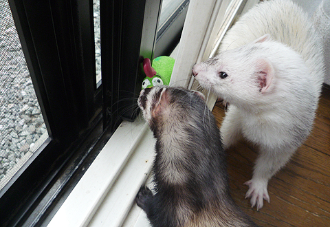 うんせ、うんせ