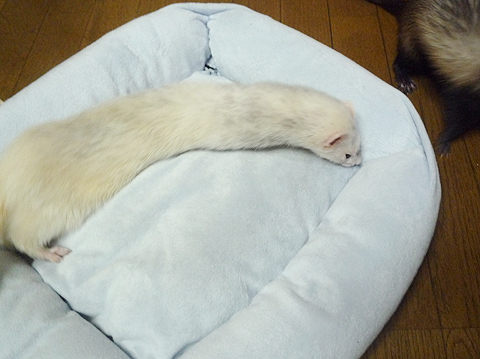 この隅がアブナい。