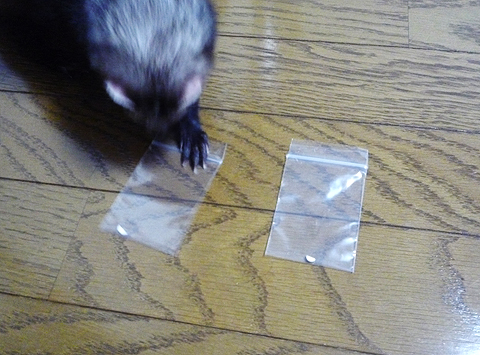 早く済ませちゃいましょうよ