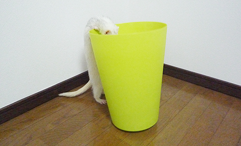 ちょっと覗いてみよ