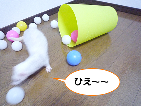 うへ?、倒れた?…