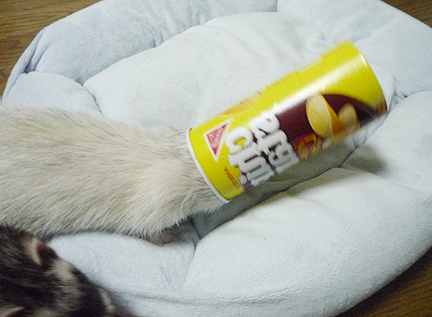 よいしょ、よいしょ