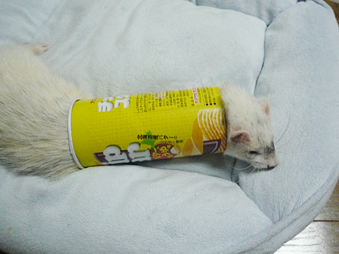 やった！頭がでた！