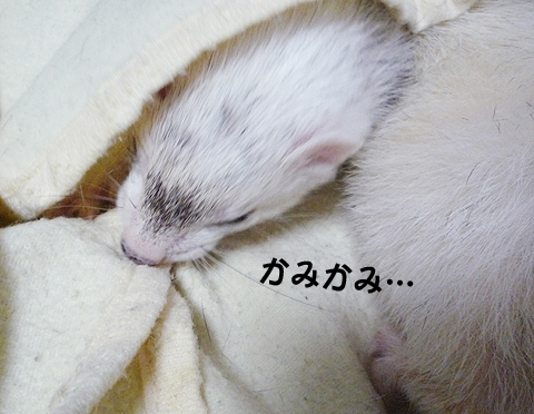 カミカミして気分を紛らわせます。