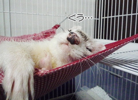 すぐに寝ますよ。