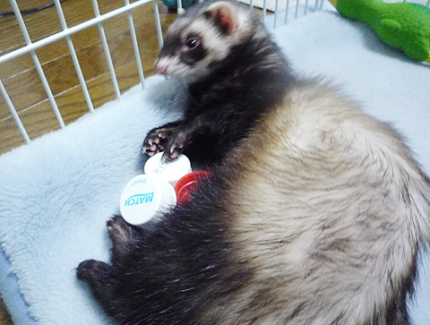 こんなにいっぱい