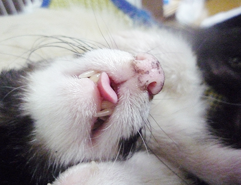 これはヒドイ！