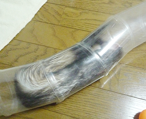 もうちょっと…