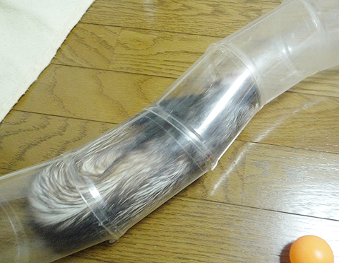 Uターンするわよ！