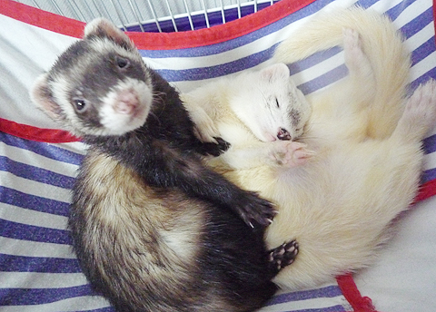 ちょっと背伸びで…