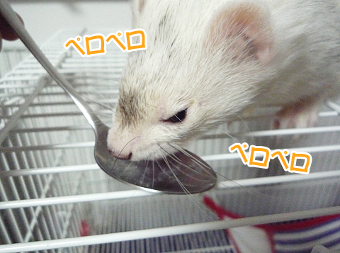 ペロペロ、ペロペロ…