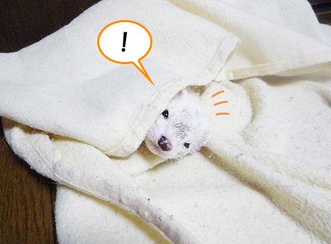 んっ、なにか感じた！