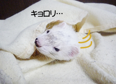 ただならぬ気配が！