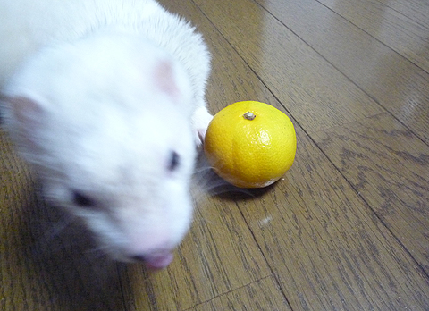 もうちょっと熟せよな