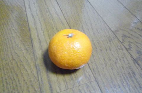 オレンジ、オレンジ。