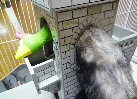 取ってみせるワ