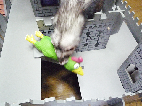 やったーとれた?