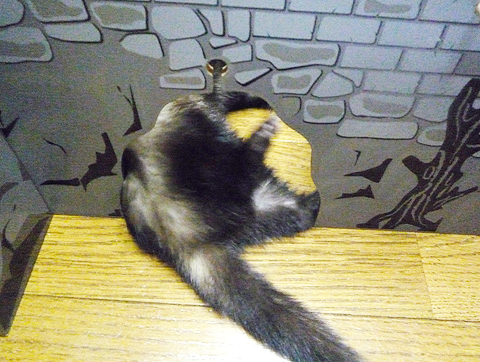 これで大丈夫♪