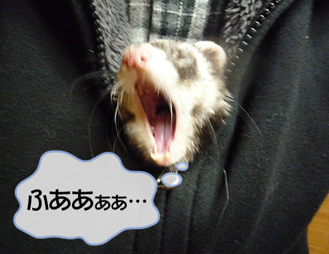 あくびが出ますワ